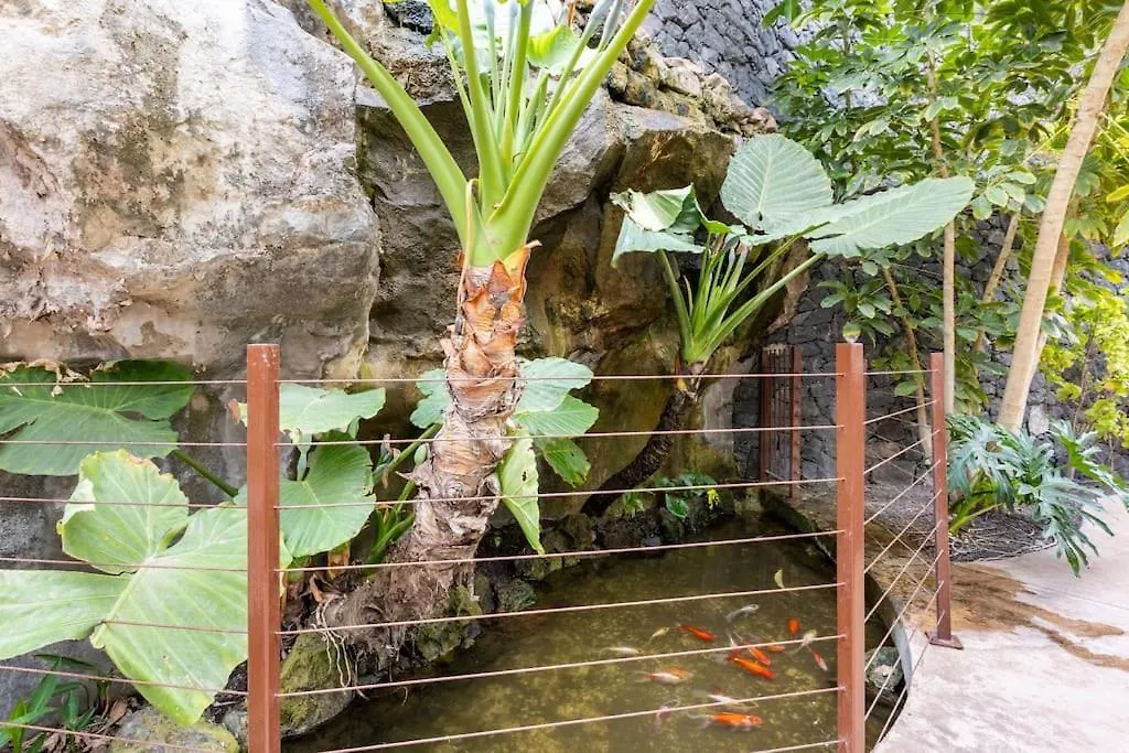Garden Serenity Retreat And Workspace With Heated Pools And Gym Palm-mar 0*,